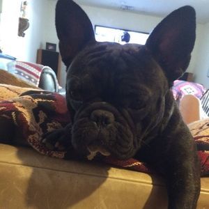 Meet your Posher, David